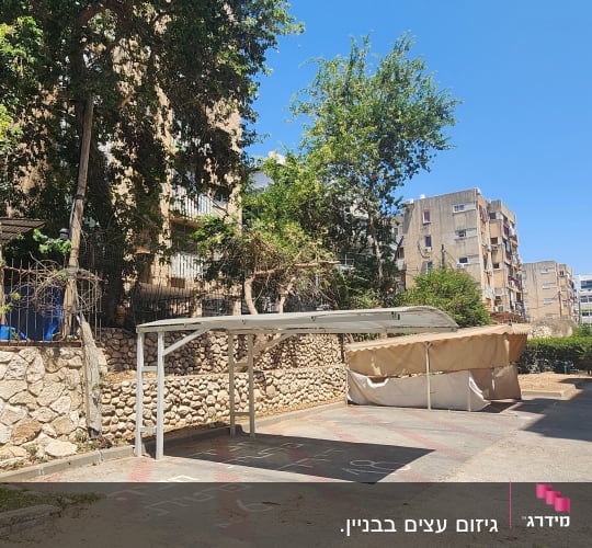 חניה מקורה ליד עצים ובניינים